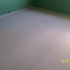 Picture 2264